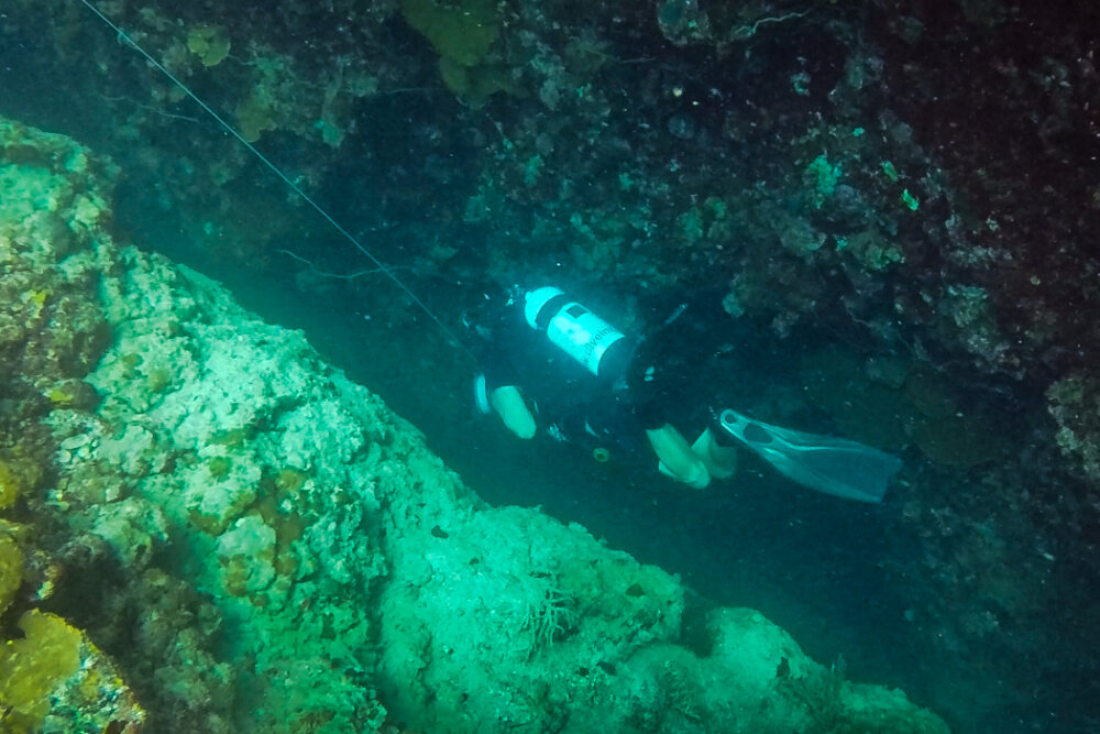 Looking down between two thick rock walls covered in marine life a diver swims through the separation