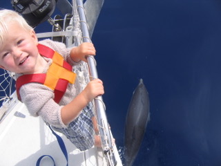 a little boy smiling up at the camera holding onto the lifelines at the bow of the boat with a dolphin under the water below him