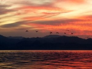 red red sunset over hils with the sea in the foreground and line of birds flying along the top of the hills silhoutted in the setting sun