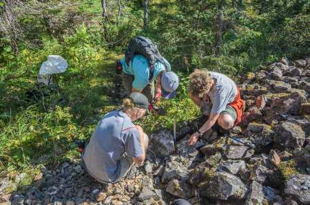 Three people styding rocks